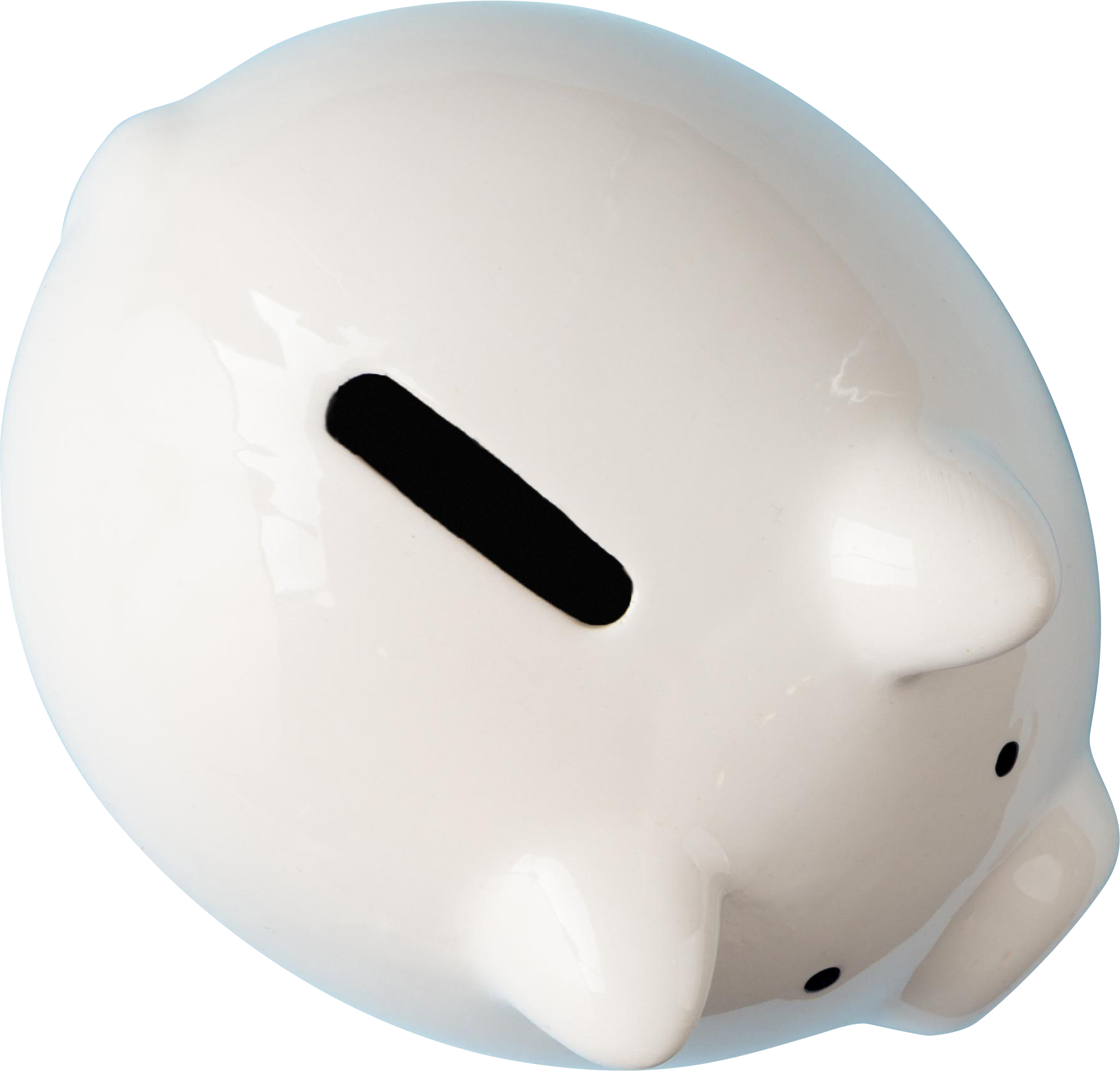 Studio Tom pricing - piggy bank